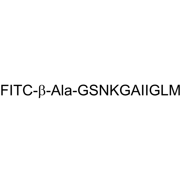 FITC-β-Ala-β-Amyloid (25-35)